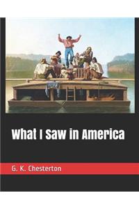What I Saw in America