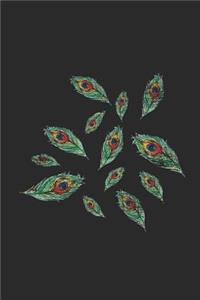 Colorful Feathers