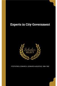 Experts in City Government