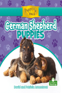 German Shepherd Puppies