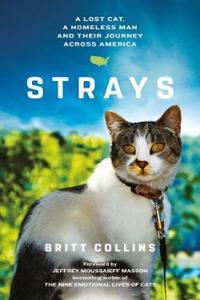Strays
