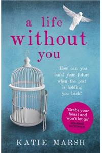 A Life Without You: a gripping and emotional page-turner about love and family secrets