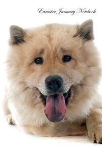 Eurasier January Notebook Eurasier Record, Log, Diary, Special Memories, to Do List, Academic Notepad, Scrapbook & More