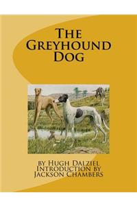 The Greyhound Dog