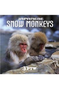 Japanese Snow Monkeys