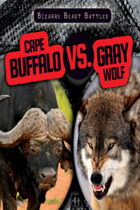 Cape Buffalo vs. Gray Wolf