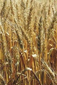 Wheat Field Journal