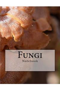 Fungi Notebook