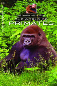 World of Primates