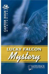 Lucky Falcon Mystery