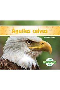 Águilas Calvas (Bald Eagles) (Spanish Version)