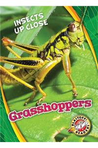 Grasshoppers