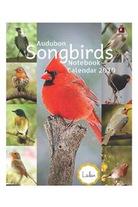 Audubon Songbirds
