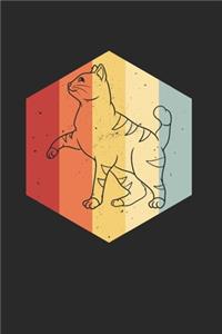 Katze Kätzchen Notizbuch