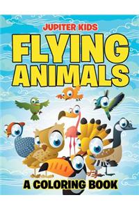 Flying Animals