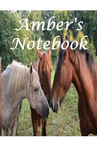 Amber's Notebook