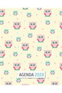 Agenda 2020