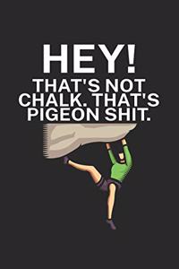 Hey Thats not chalk Thats pigeon shit