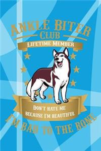 Ankle Biter Club Lifetime Member: Don't Hate Me Because I'm Beautiful, I'm Bad to the Bone - Husky Notebook Journal Composition Book