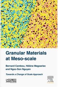 Granular Materials at Meso-Scale