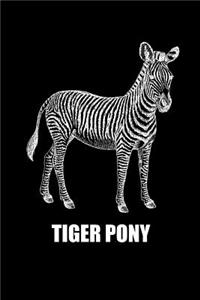 Tiger Pony