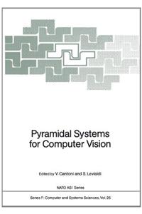 Pyramidal Systems for Computer Vision
