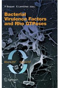 Bacterial Virulence Factors and Rho Gtpases