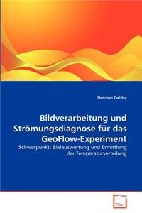 Bildverarbeitung und Strömungsdiagnose für das GeoFlow-Experiment