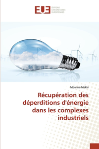 Récupération des déperditions d'énergie dans les complexes industriels