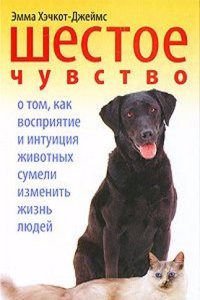 SHESTOE CHUVSTVO. O TOM KAK VOSPRIYATIE