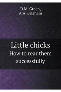Little Chicks How to Rear Them Successfully