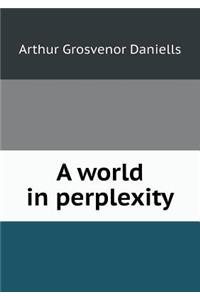 A World in Perplexity