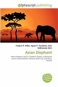 Asian Elephant