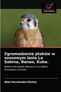 Zgromadzenie ptaków w sosnowym lesie La Sabina, Banao, Kuba.