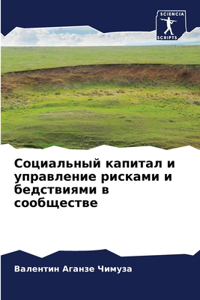 Социальный капитал и управление рисками и