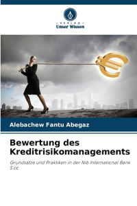 Bewertung des Kreditrisikomanagements