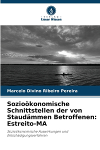 Sozioökonomische Schnittstellen der von Staudämmen Betroffenen