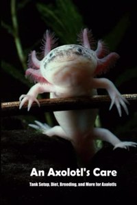 An Axolotl's Care