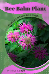 Bee Balm Plant