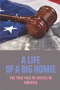 A Life Of A Big Homie: The True Face Of Justice In America: Truths About The Us Prison System