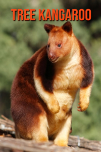 Tree Kangaroo