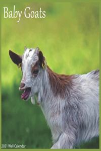 Baby Goats 2021 Wall Calendar