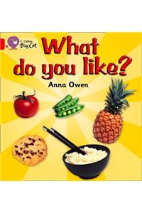 What Do You Like? Workbook