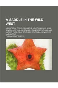A-Saddle in the Wild West; A Glimpse of Travel Among the Mountains, Lava Beds, Sand Deserts, Adobe Towns, Indian Reservations, and Ancient Pueblos of Southern Colorado, New Mexico and Arizona