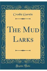 The Mud Larks (Classic Reprint)