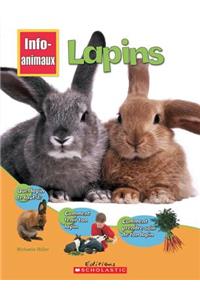 Info-Animaux: Lapins