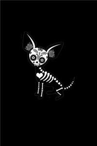 (Chihuahua skull)