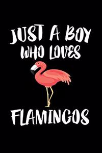 Just A Boy Who Loves Flamingos