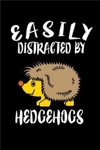 Easily Distracted By Hedgehogs