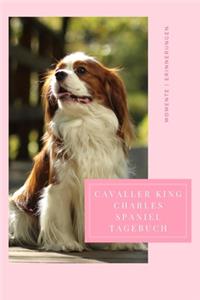 Cavaller King Charles Spaniel Momente Erinnerungen